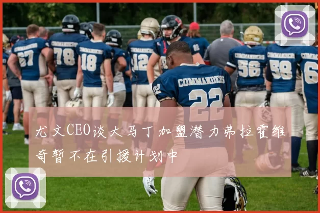 尤文CEO谈大马丁加盟潜力弗拉霍维奇暂不在引援计划中