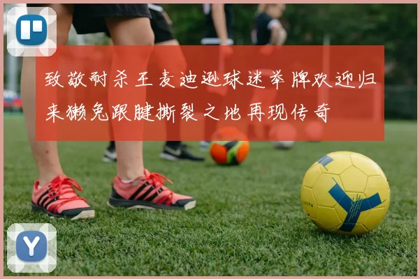 致敬耐杀王麦迪逊球迷举牌欢迎归来獭兔跟腱撕裂之地再现传奇